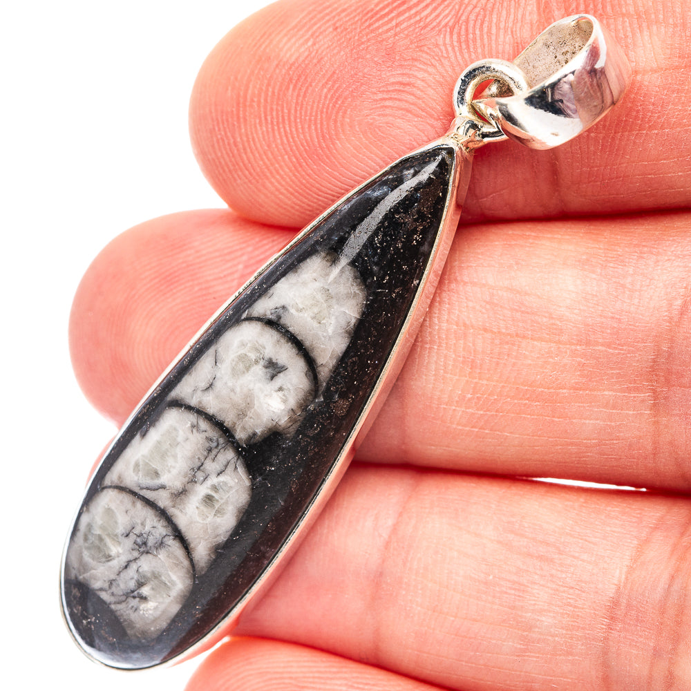 Orthoceras Fossil Pendant 2 1/8" (.925 Sterling Silver)
