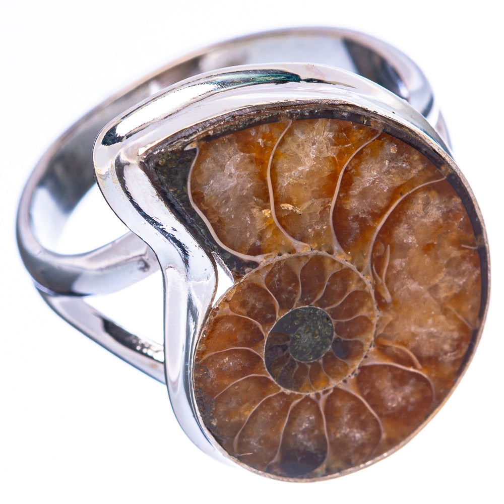 Ammonite Fossil 925 Sterling Silver Ring Size 8 (925 Sterling Silver) R3845