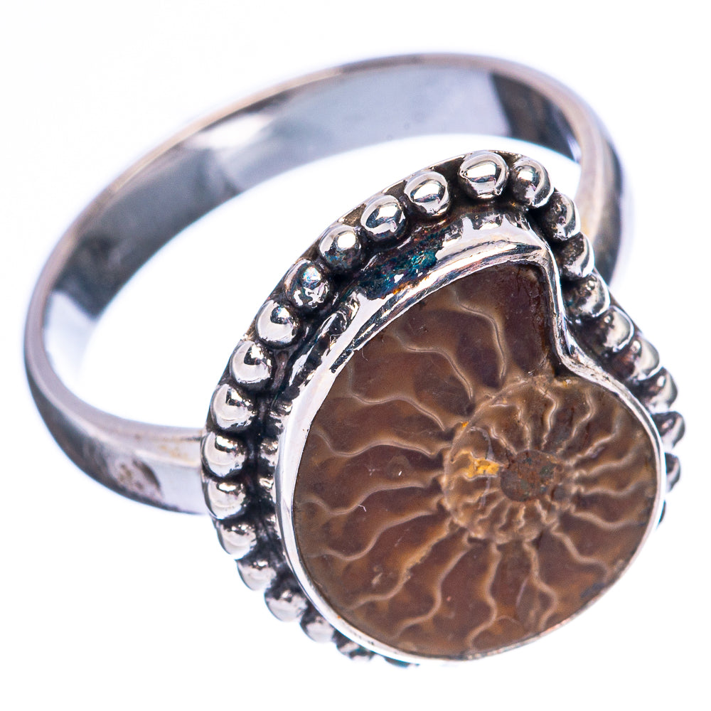 Ammonite Fossil 925 Sterling Silver Ring Size 7 (925 Sterling Silver) R3846