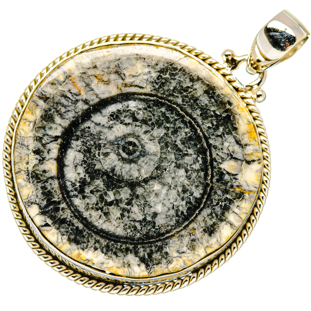 Moroccan Goniatite Fossil Pendants handcrafted by Anasilvercos - PD20232