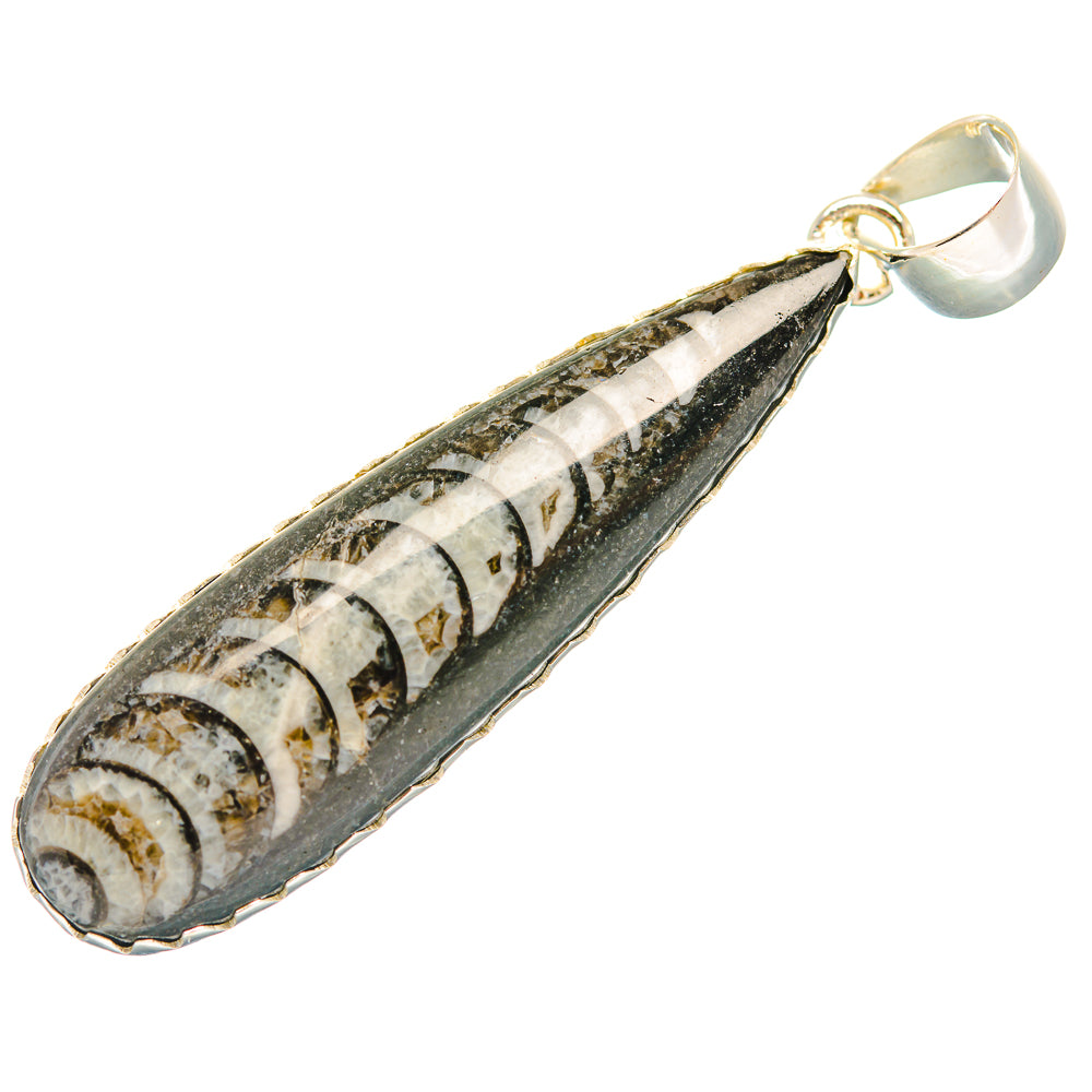 Orthoceras Fossil Pendants handcrafted by Anasilvercos - PD32394 - Photo 2