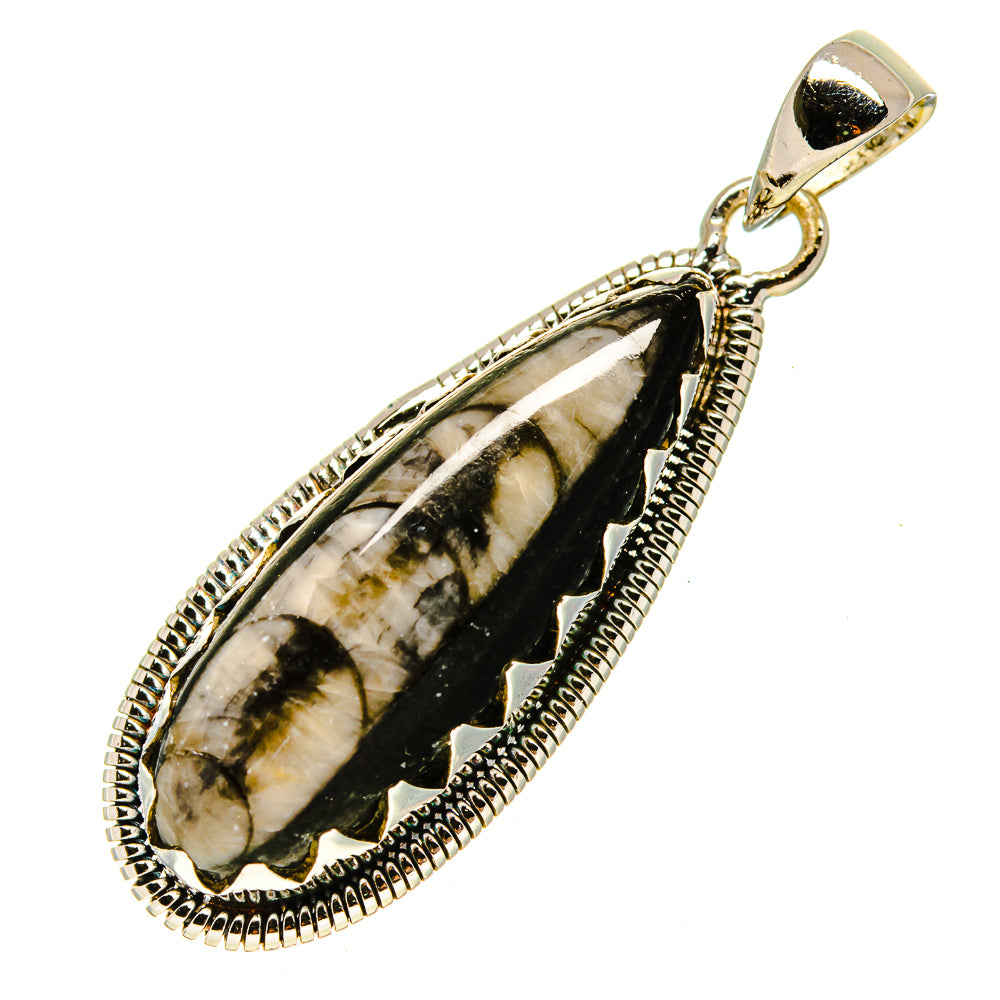 Orthoceras Fossil Pendants handcrafted by Anasilvercos - PD755613