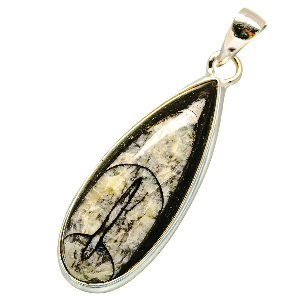 Orthoceras Fossil Pendants handcrafted by Anasilvercos - PD8935