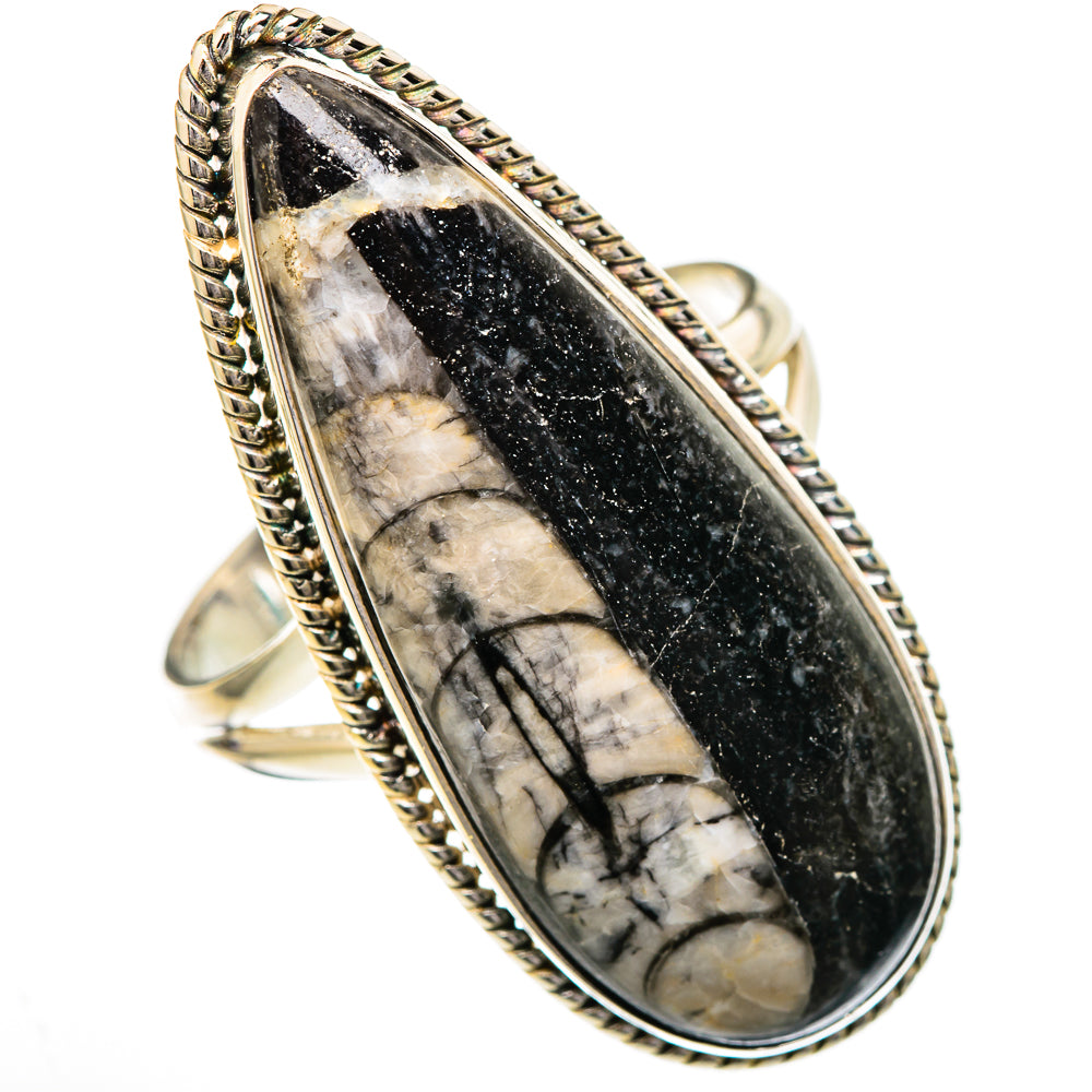 Orthoceras Fossil Rings handcrafted by Anasilvercos - RING102166 - Photo 2