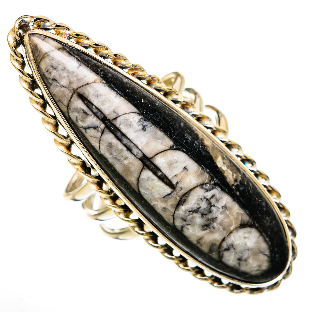 Orthoceras Fossil Rings handcrafted by Anasilvercos - RING103929 - Photo 2