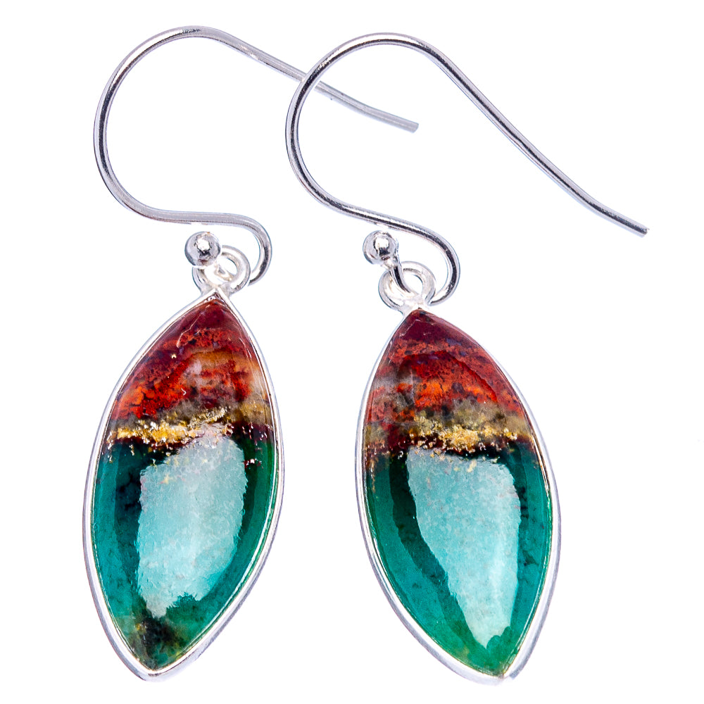 Rare Opalized Wood Earrings 1 1/2" (.925 Sterling Silver)