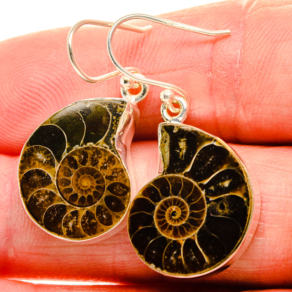 Ammonite Fossil Earrings 1 1/2" (925 Sterling Silver) EARR432111