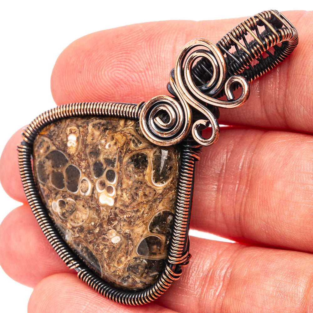 Turritella Agate Wire Wrap Pendant 2" (Oxidized Copper)