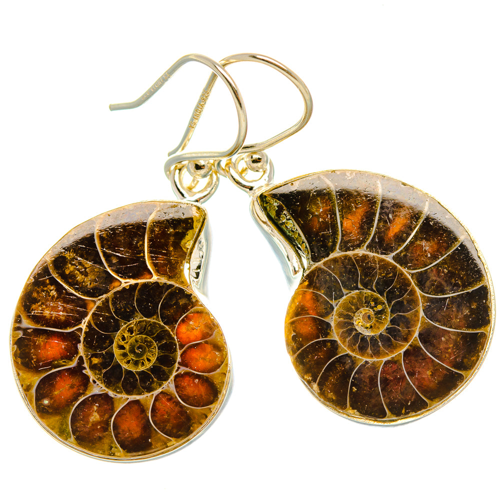 Ammonite Fossil Earrings 1 1/2" (925 Sterling Silver) EARR432029