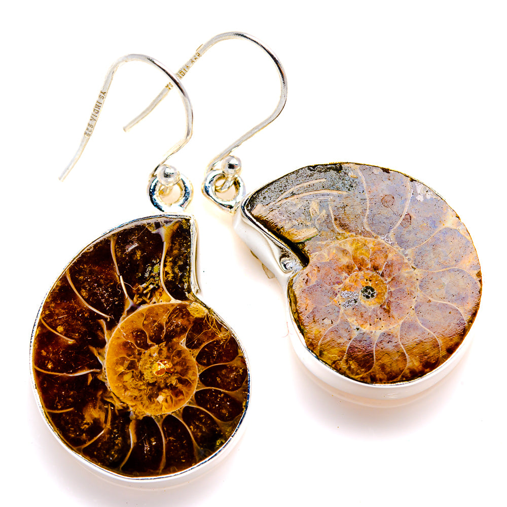 Ammonite Fossil Earrings 1 1/2" (925 Sterling Silver) EARR432116