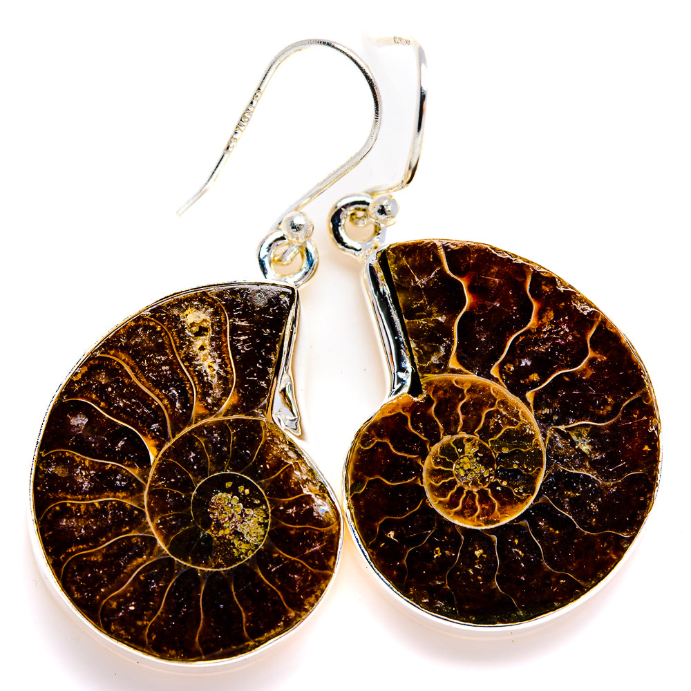 Ammonite Fossil Earrings 1 5/8" (925 Sterling Silver) EARR432121