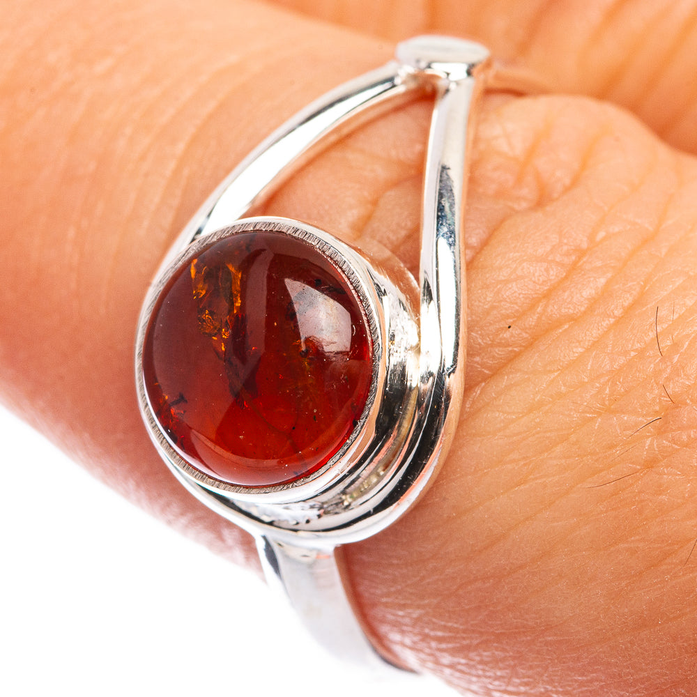 Baltic Amber Ring Size 8 (925 Sterling Silver) RING143317