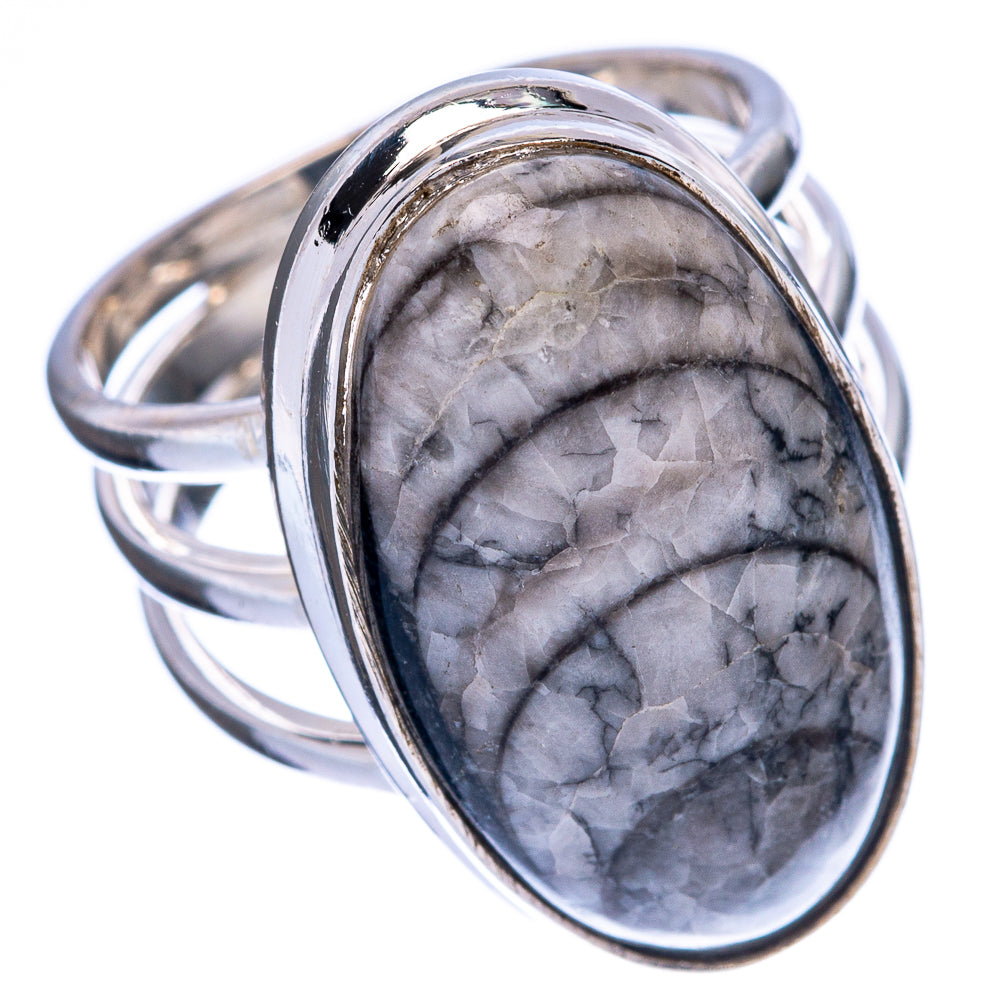 Orthoceras Fossil Ring Size 6 (925 Sterling Silver) R146235