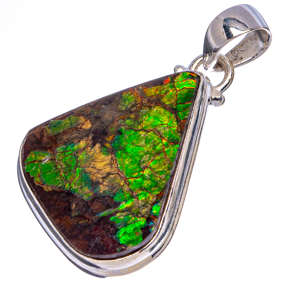 Rare Canadian Ammolite Pendant 1 1/2" (.925 Sterling Silver)