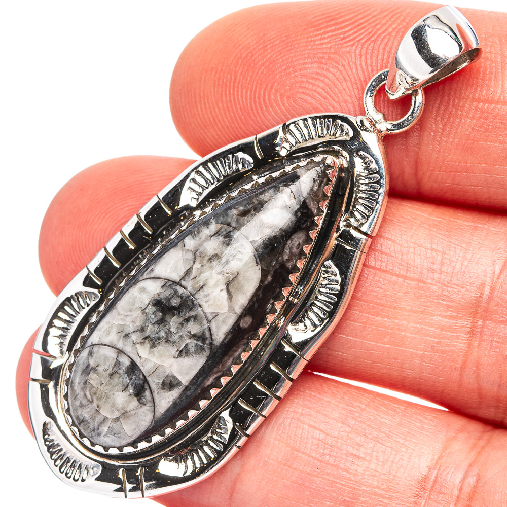 Premium Orthoceras Fossil Pendant 2 1/8" (.925 Sterling Silver)