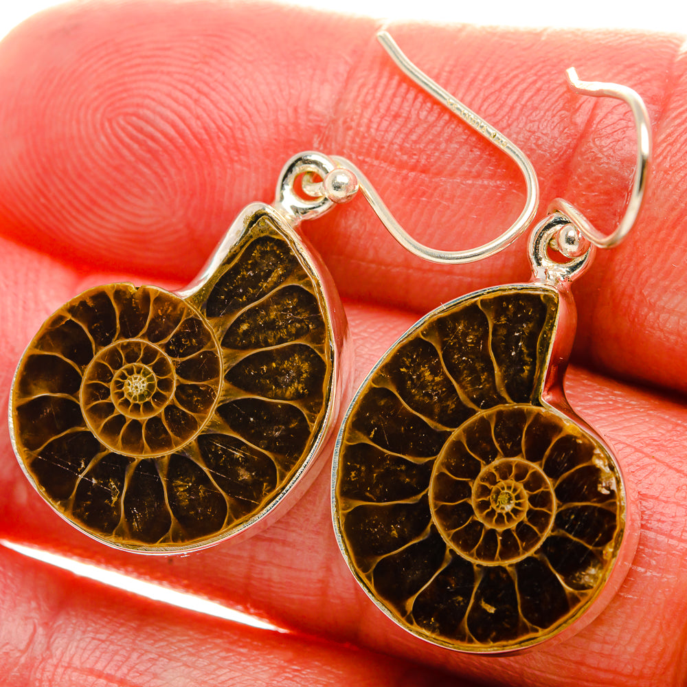 Ammonite Fossil Earrings 1 1/2" (925 Sterling Silver) EARR431993