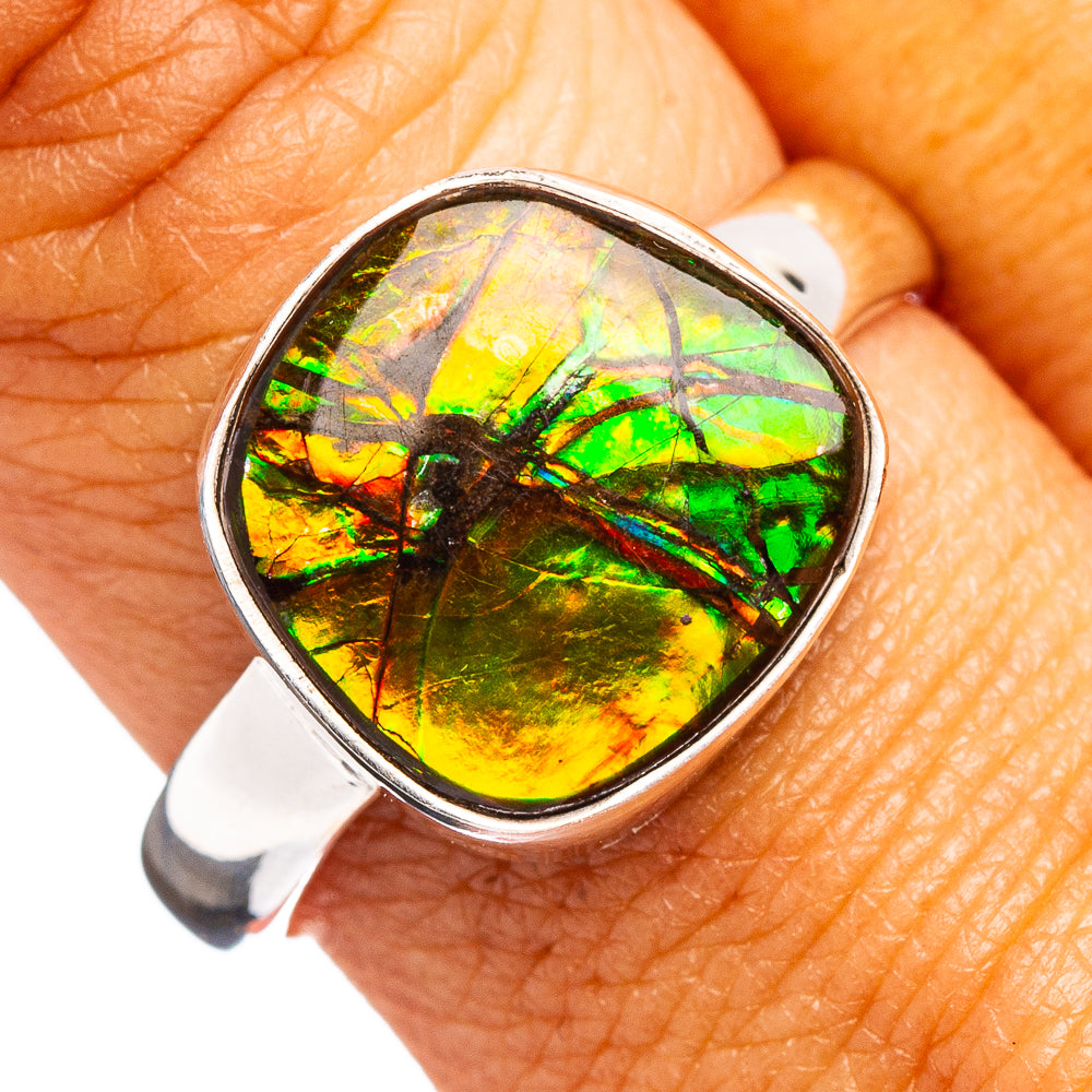 Premium Canadian Ammolite Ring Size 9 (.925 Sterling Silver)