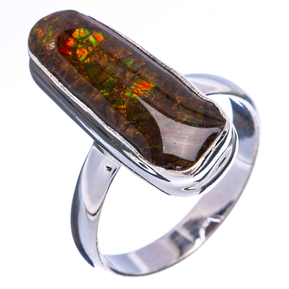 Rare Ammolite Ring Size 7 (925 Sterling Silver) R4991