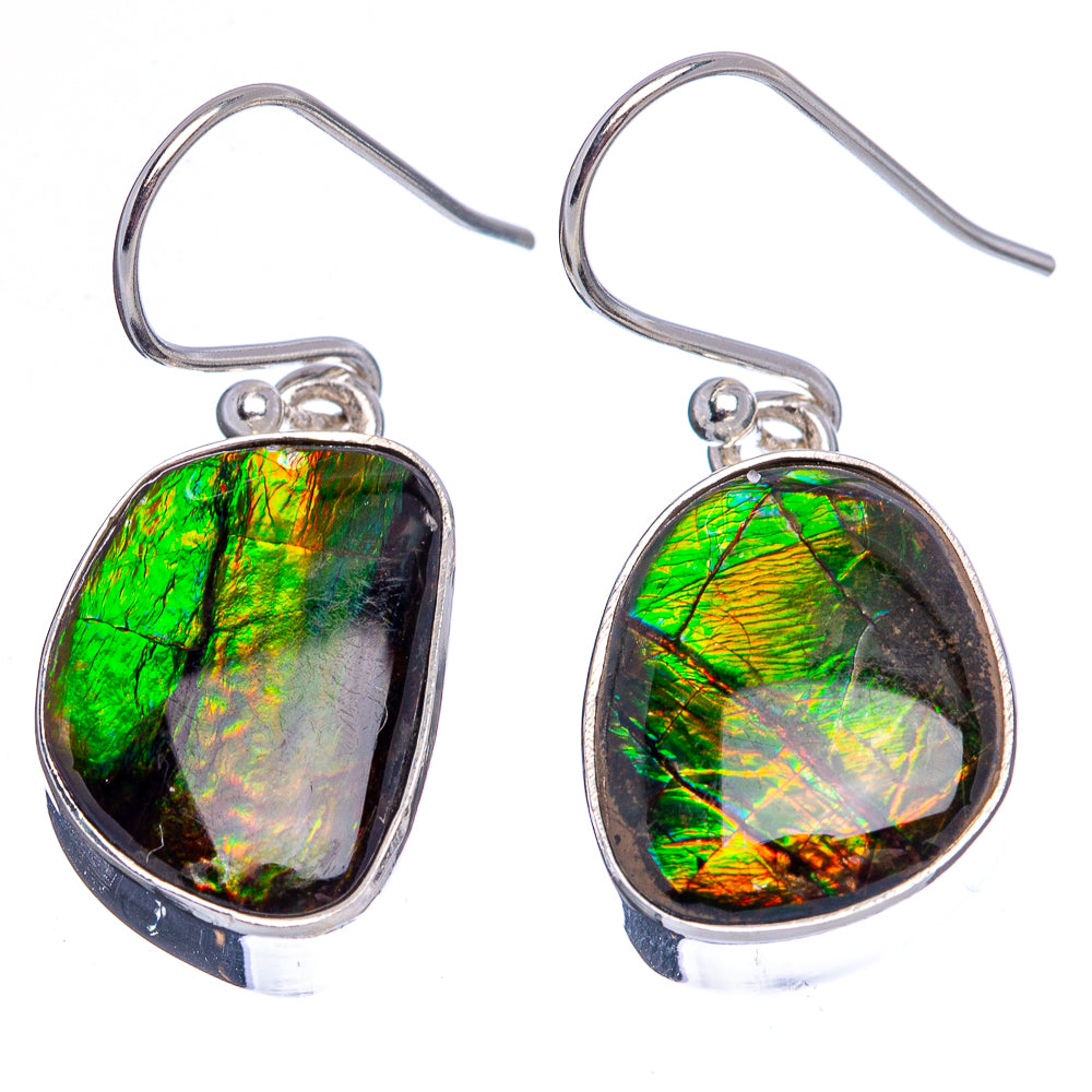 Premium Canadian Ammolite Earrings 1 1/4" (.925 Sterling Silver)