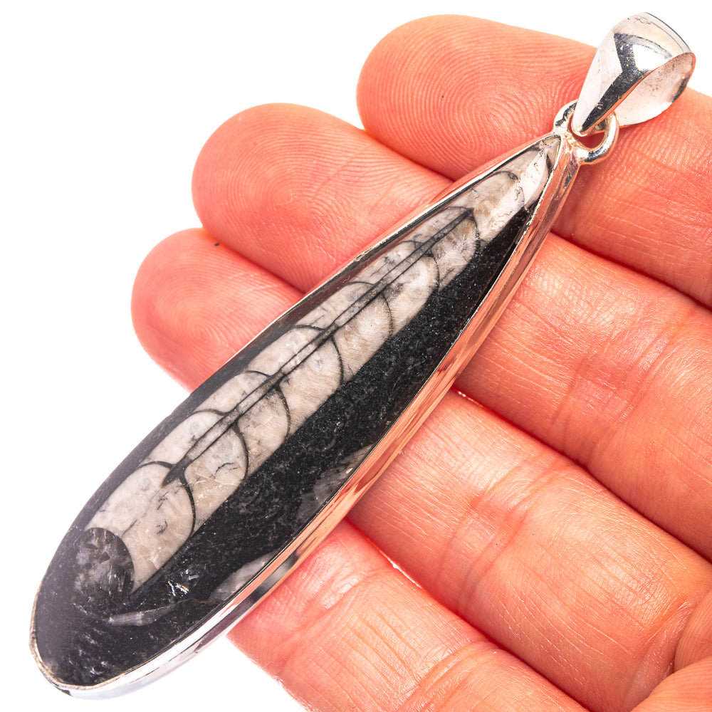 Orthoceras Fossil Pendant 3" (925 Sterling Silver) P38937
