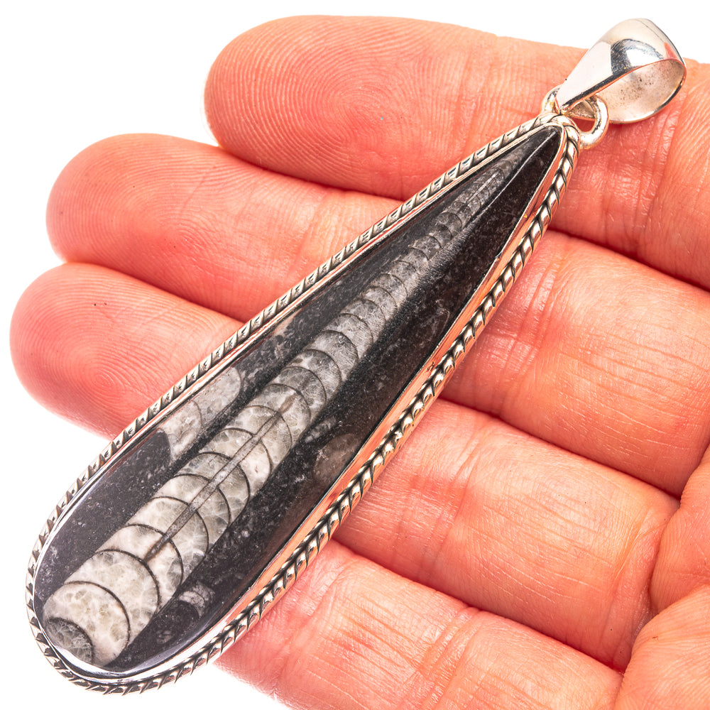 Orthoceras Fossil Pendant 2 7/8" (925 Sterling Silver) P38822