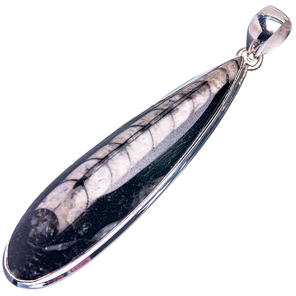 Orthoceras Fossil Pendant 3" (925 Sterling Silver) P38937