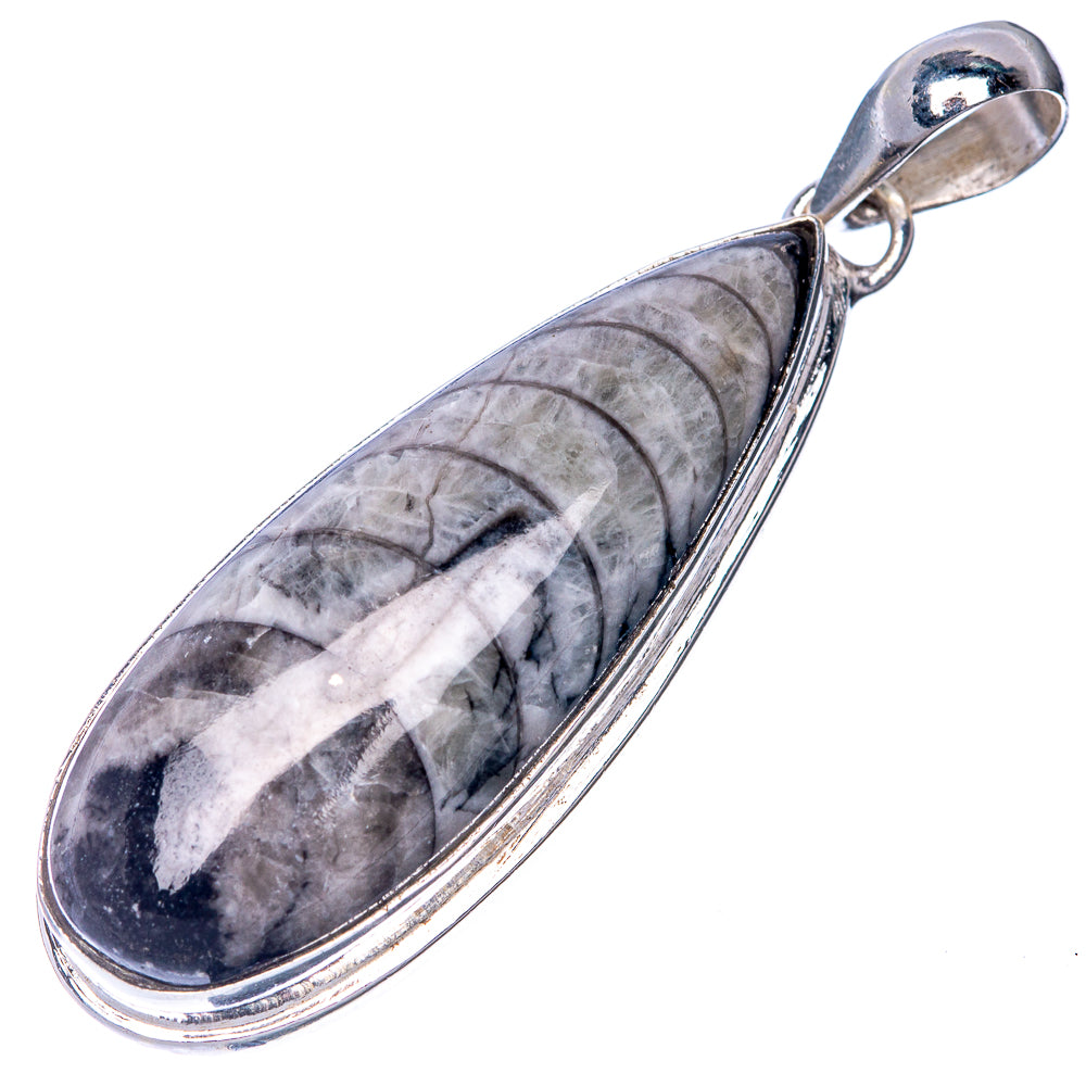 Orthoceras Fossil Pendant 1 7/8" (925 Sterling Silver) P40808