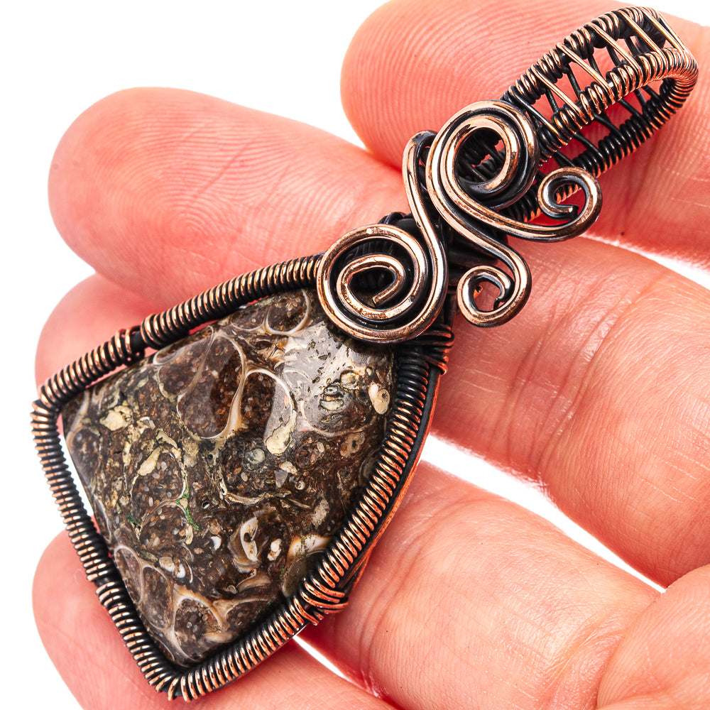 Turritella Agate Wire Wrap Pendant 2 1/4" (Oxidized Copper)