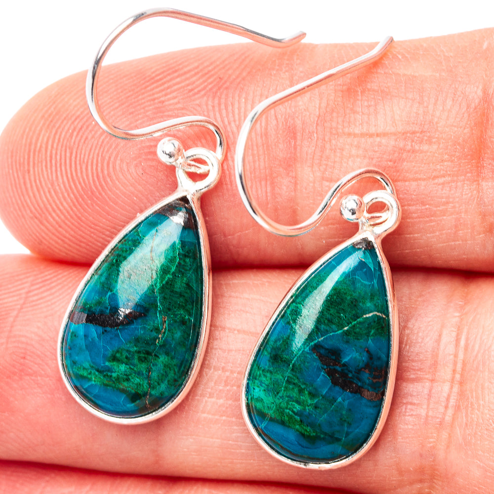 Chrysocolla Earrings 1 3/8" (.925 Sterling Silver)