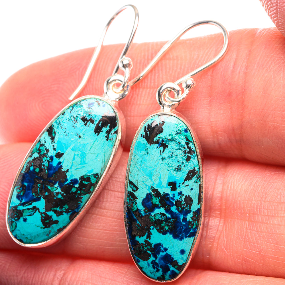 Shattuckite Earrings 1 1/2" (925 Sterling Silver) EARR432170