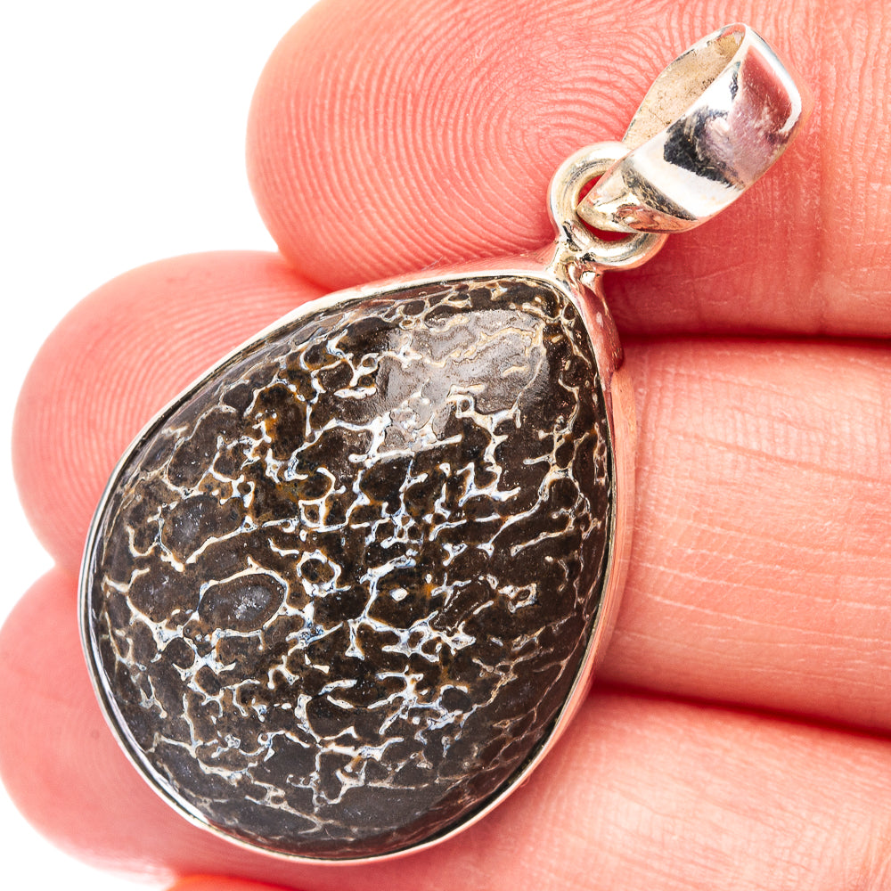 Rare Dinosaur Bone Pendant 1 1/2" (.925 Sterling Silver)
