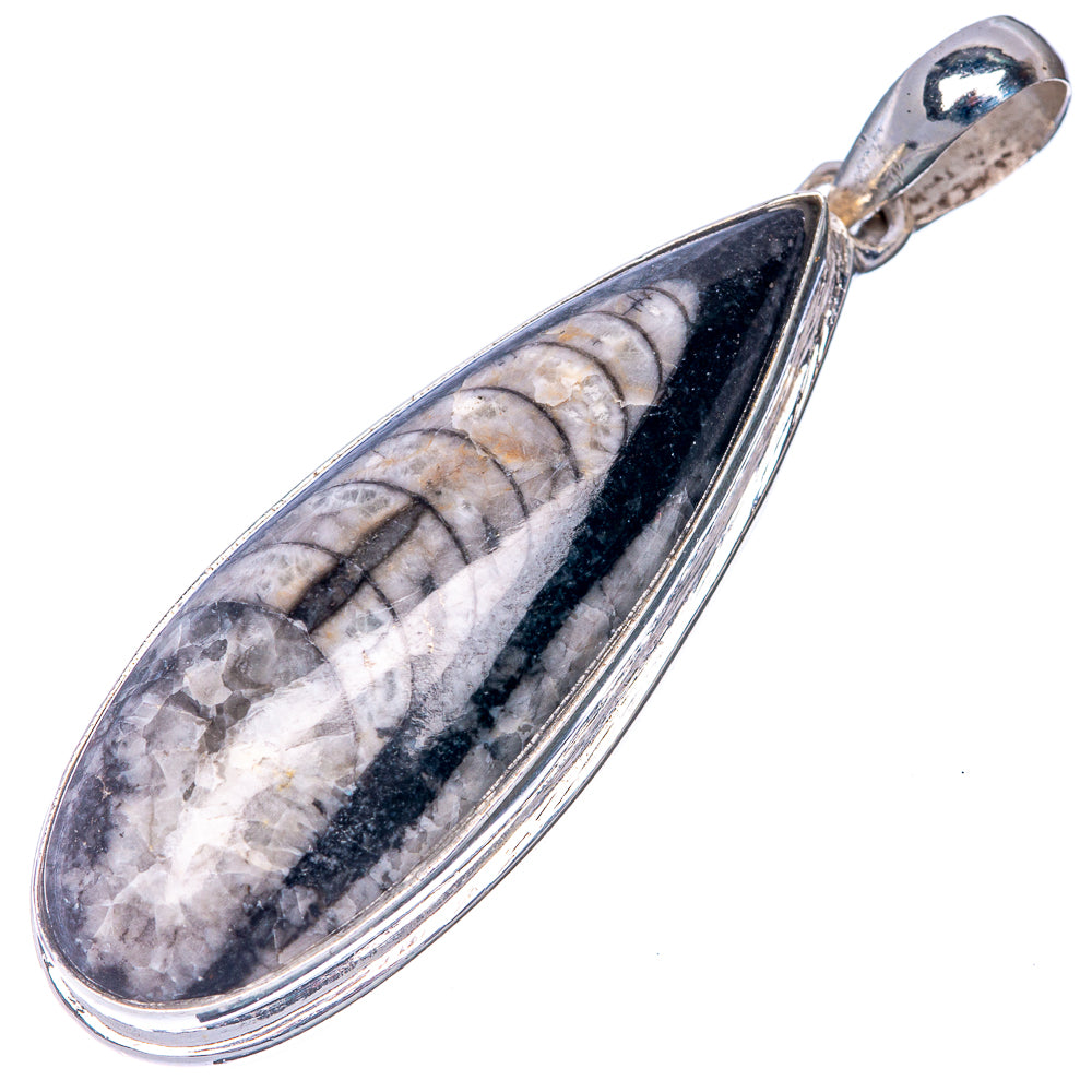 Orthoceras Fossil Pendant 1 7/8" (925 Sterling Silver) P40806