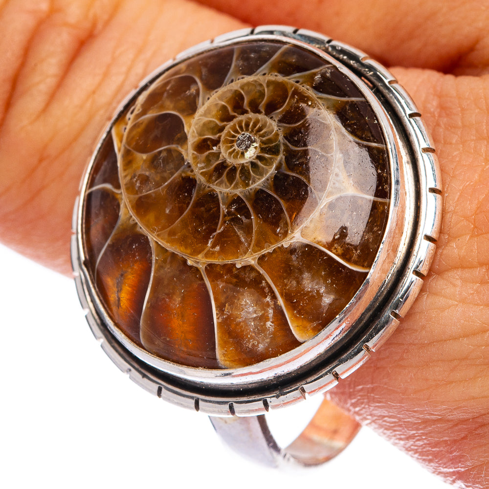 Large Ammonite Fossil Ring Size 13.5 (925 Sterling Silver) R145312
