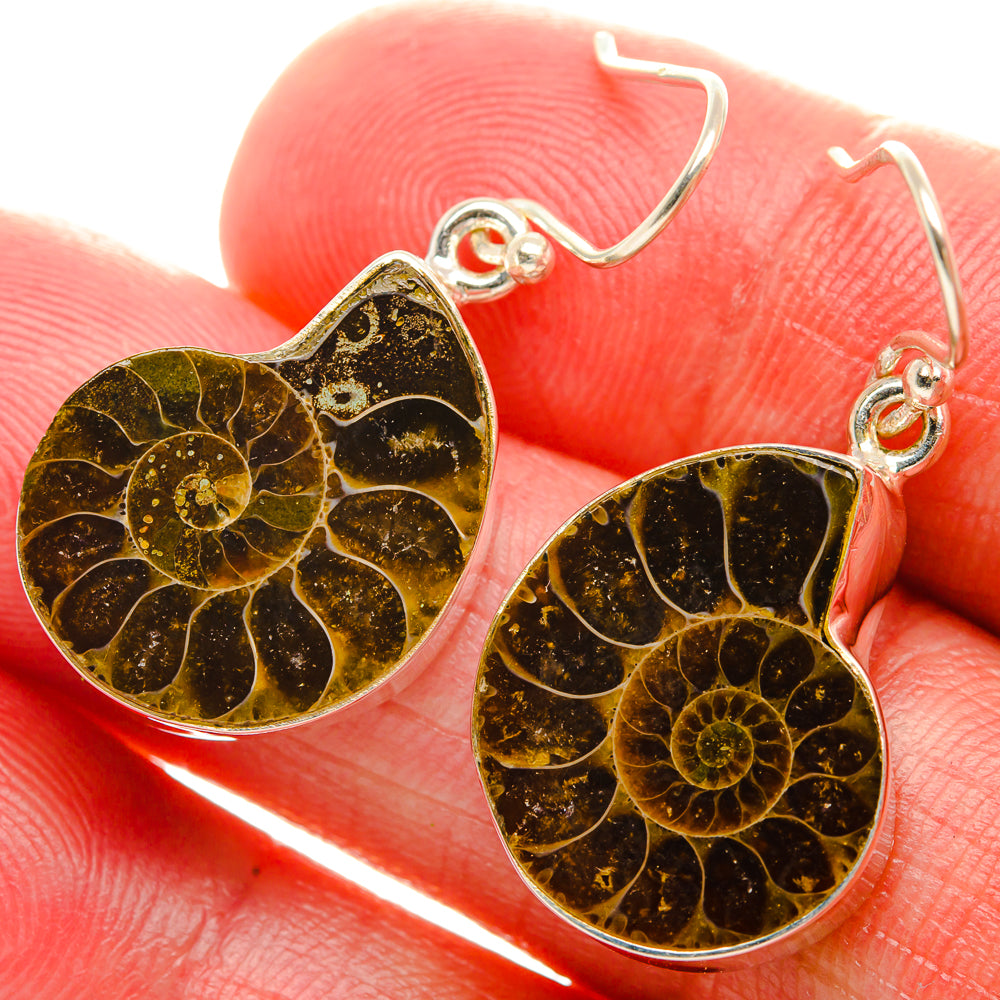 Ammonite Fossil Earrings 1 3/8" (925 Sterling Silver) EARR431989