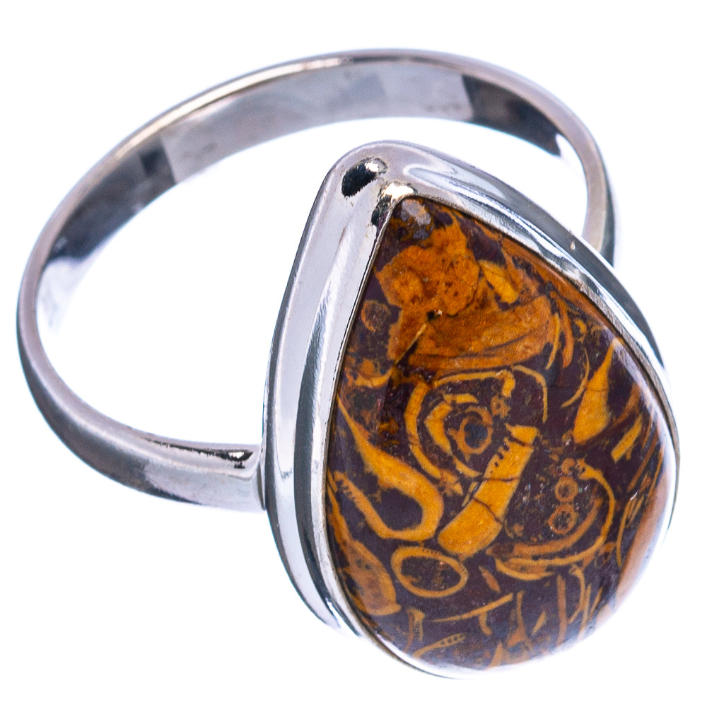 Coquina Fossil Ring Size 11 (.925 Sterling Silver)