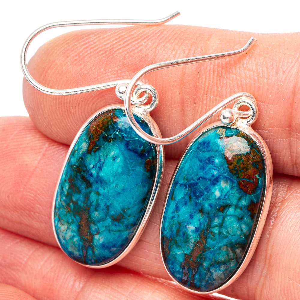 Chrysocolla Earrings 1 5/8" (.925 Sterling Silver)