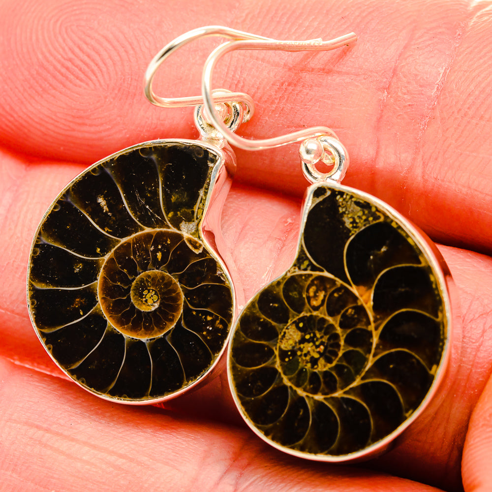 Ammonite Fossil Earrings 1 1/2" (925 Sterling Silver) EARR432117