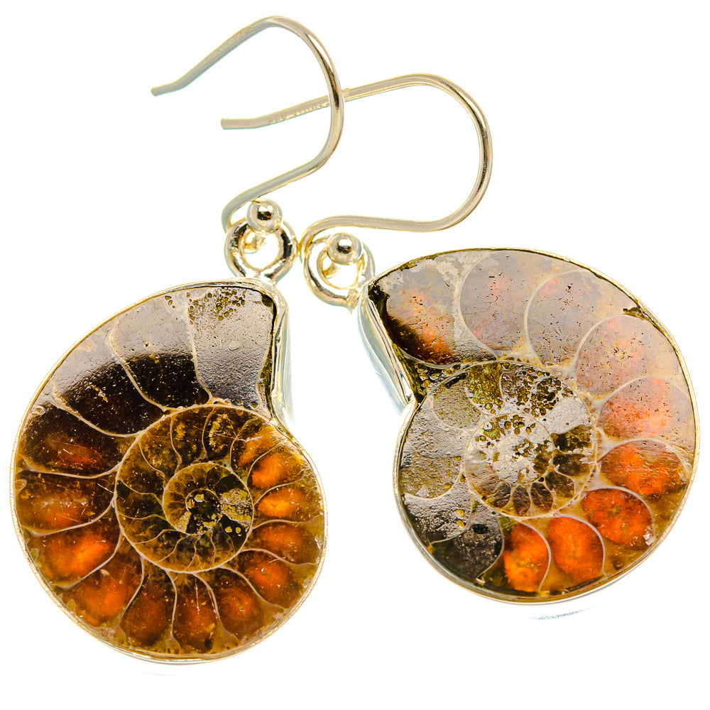 Ammonite Fossil Earrings 1 1/2" (925 Sterling Silver) EARR432035