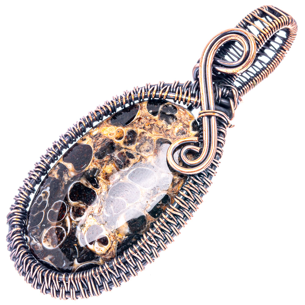 Turritella Agate Wire Wrap Pendant 2 5/8" (Oxidized Copper)