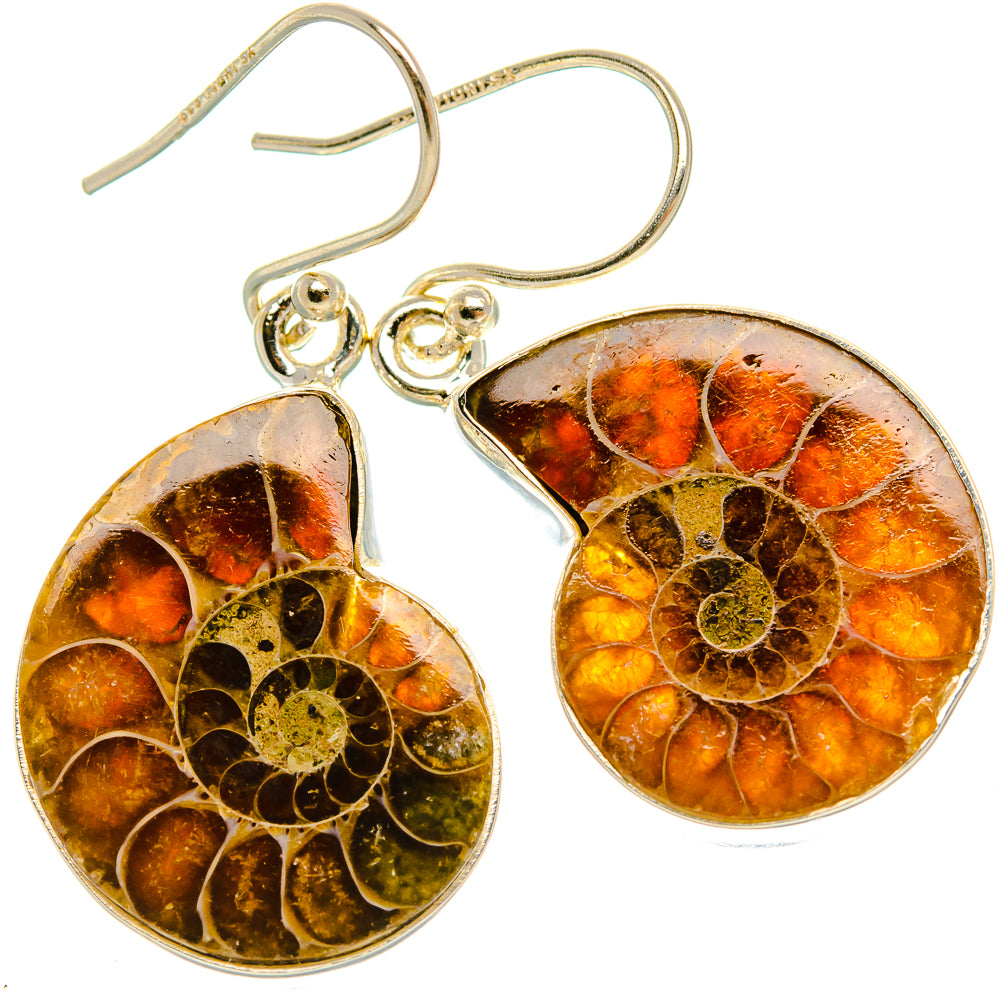 Ammonite Fossil Earrings 1 1/2" (925 Sterling Silver) EARR432065