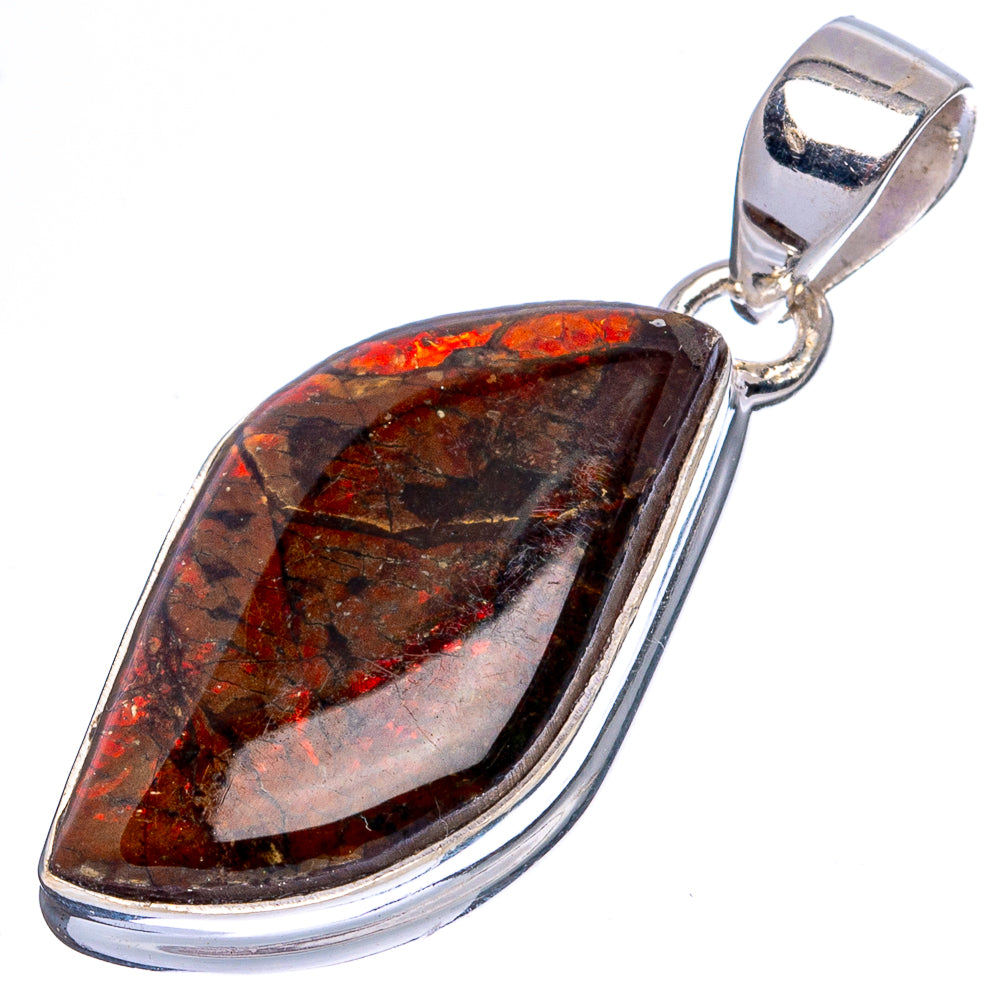 Rare Ammolite Pendant 1 3/8" (925 Sterling Silver) P43410