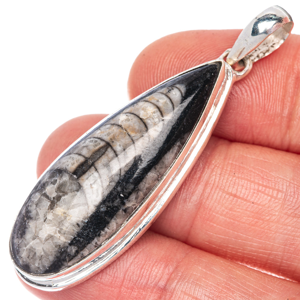 Orthoceras Fossil Pendant 1 7/8" (925 Sterling Silver) P40806