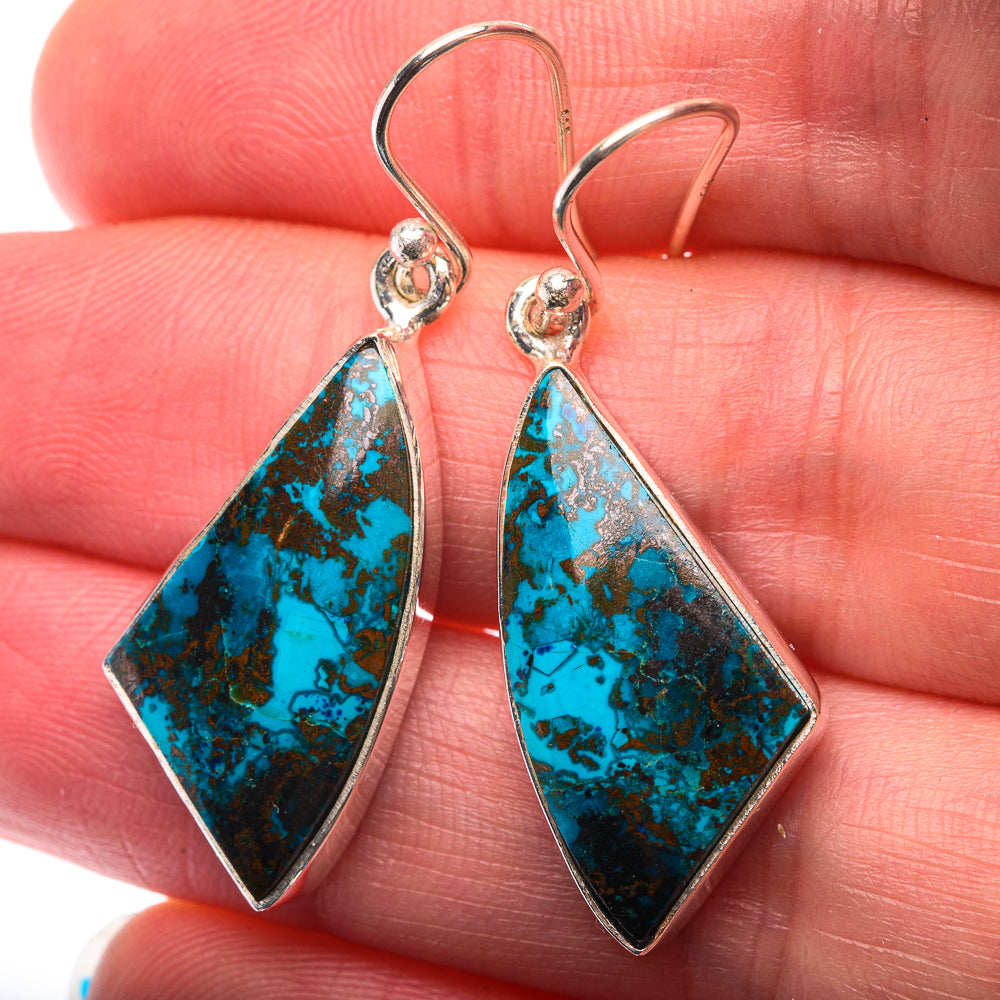 Shattuckite Earrings 1 1/2" (925 Sterling Silver) EARR432142