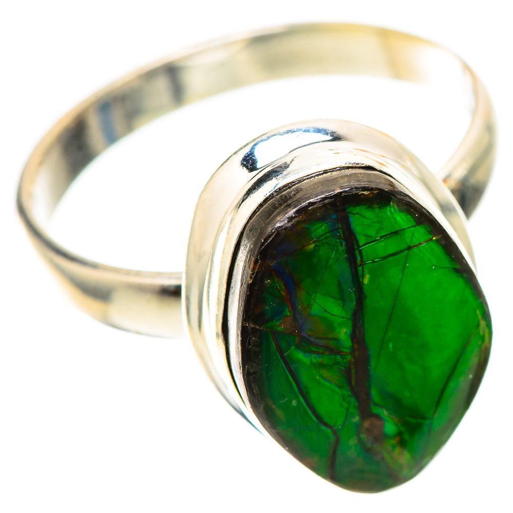 Canadian Ammolite Ring Size 9.75 (925 Sterling Silver) RING139724