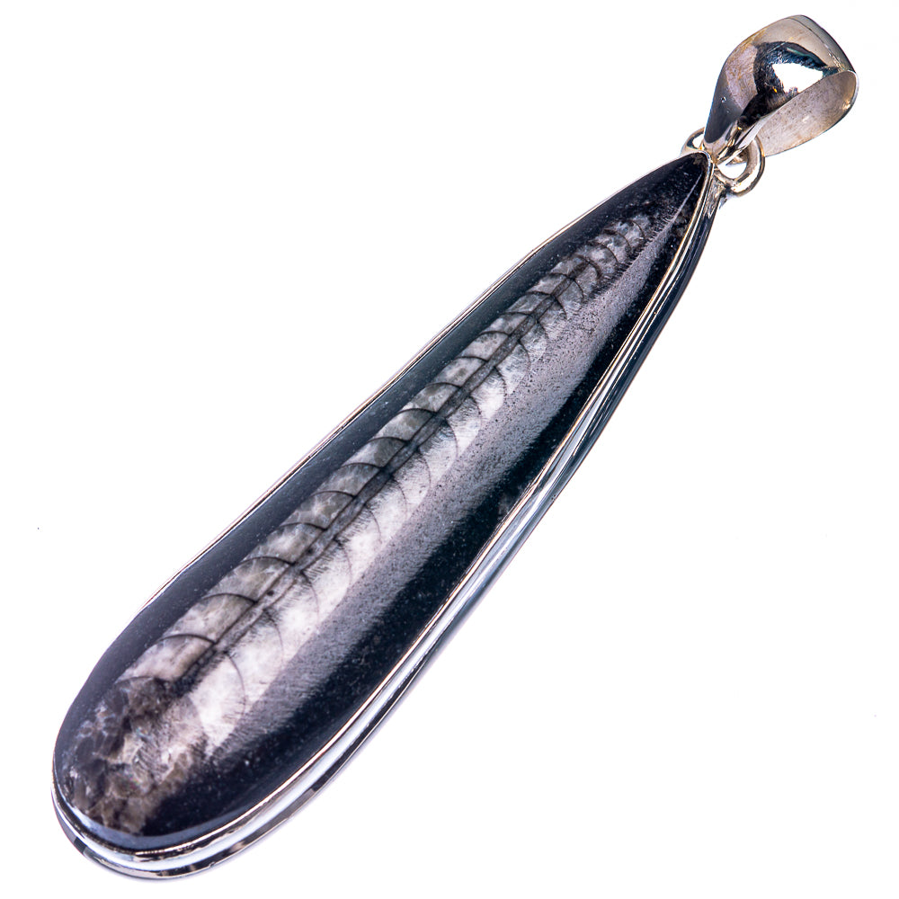 Large Orthoceras Fossil 925 Sterling Silver Pendant 2 7/8"