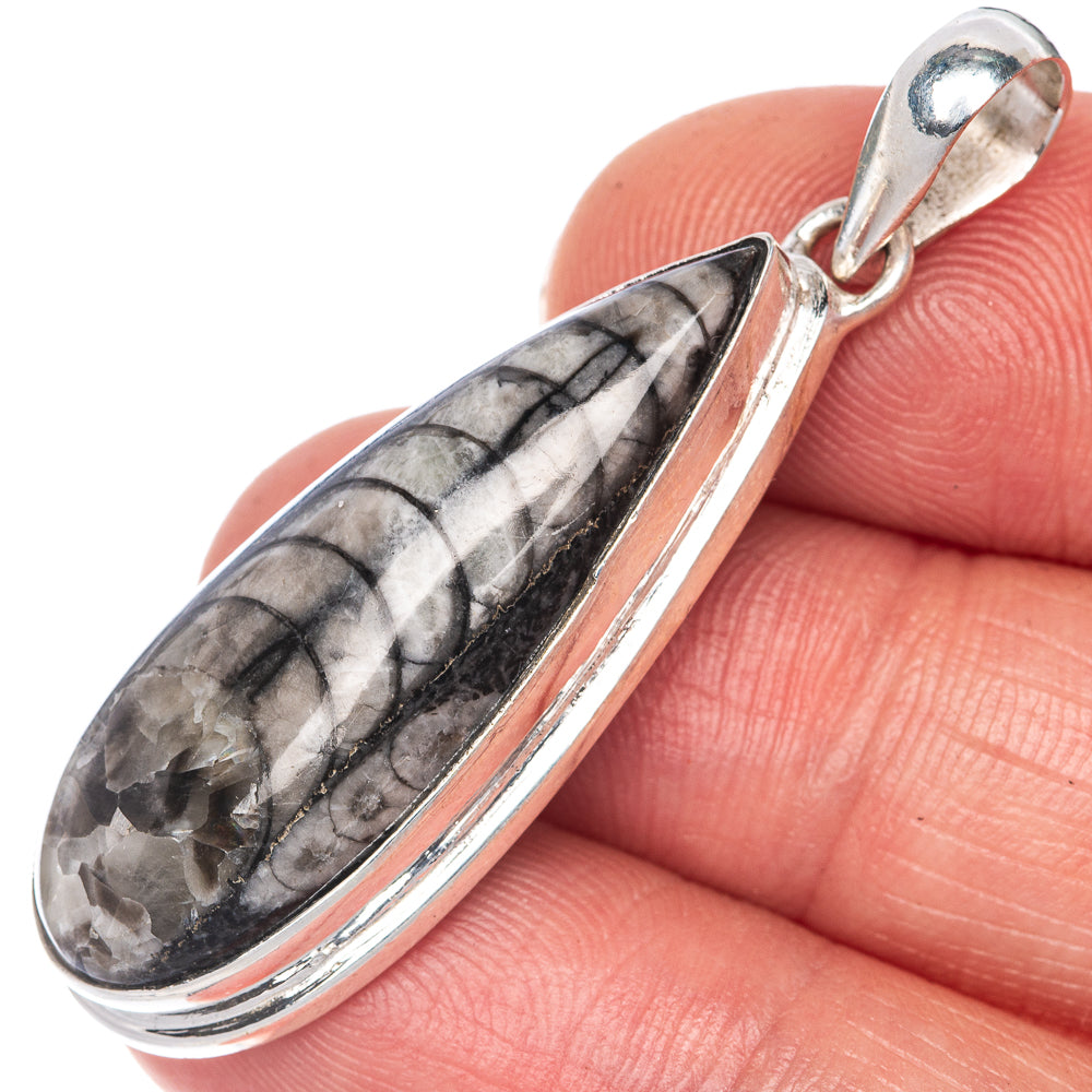Orthoceras Fossil Pendant 1 3/4" (925 Sterling Silver) P40807