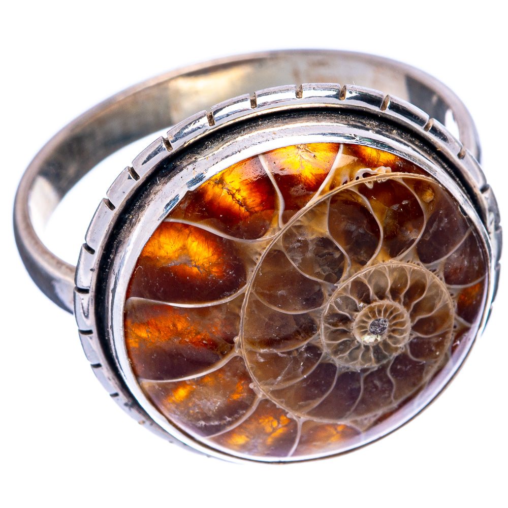 Large Ammonite Fossil Ring Size 13.5 (925 Sterling Silver) R145312