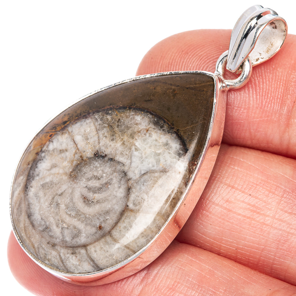Ammonite Fossil Pendant 1 3/4" (925 Sterling Silver) P40862