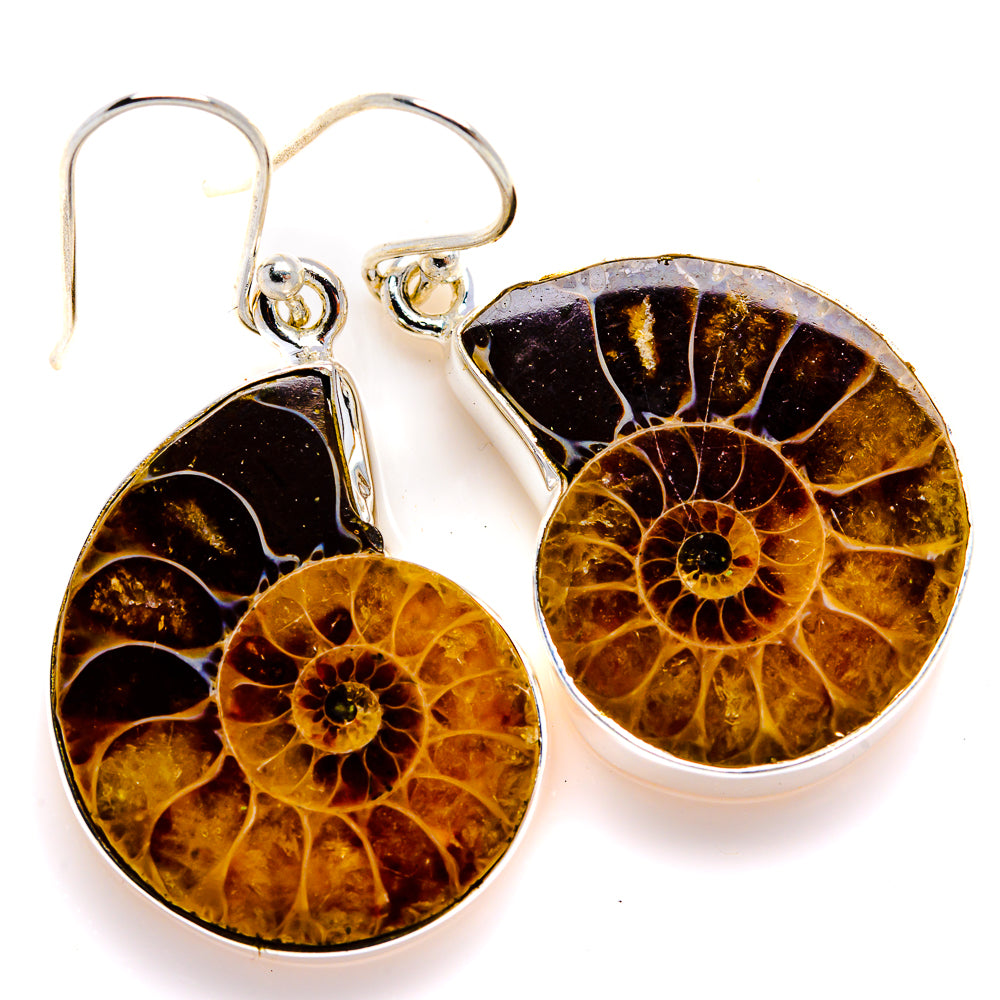 Ammonite Fossil Earrings 1 1/2" (925 Sterling Silver) EARR432086