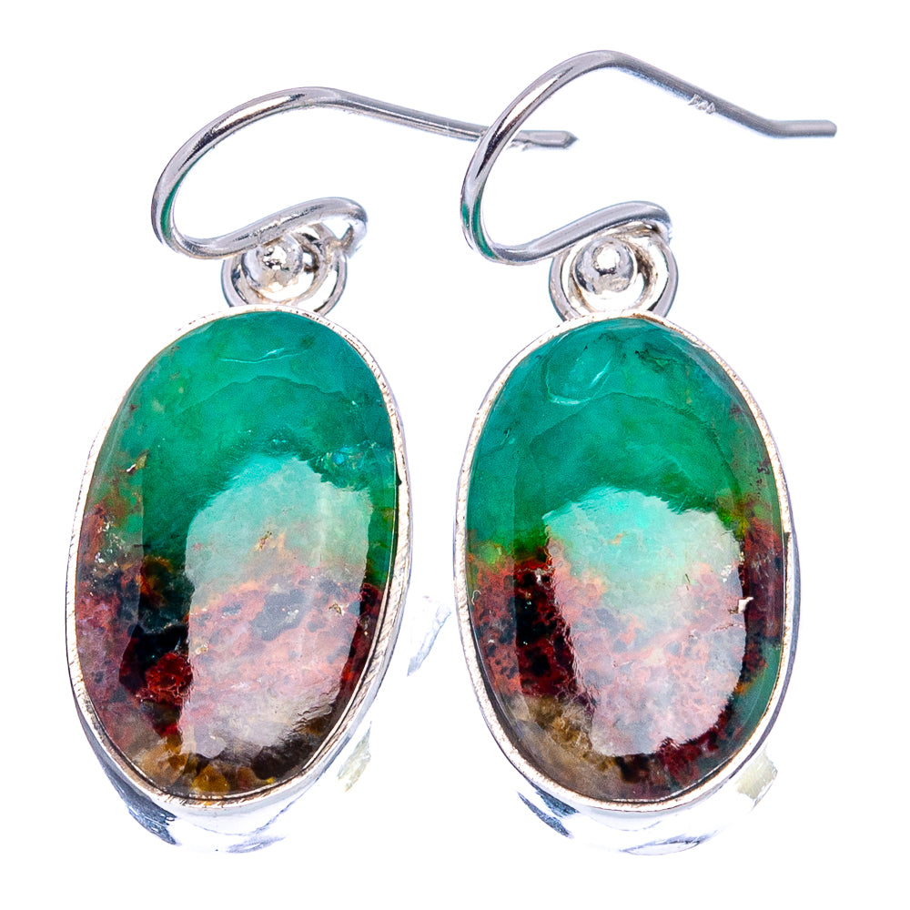 Rare Opalized Wood Earrings 1 1/4" (.925 Sterling Silver)